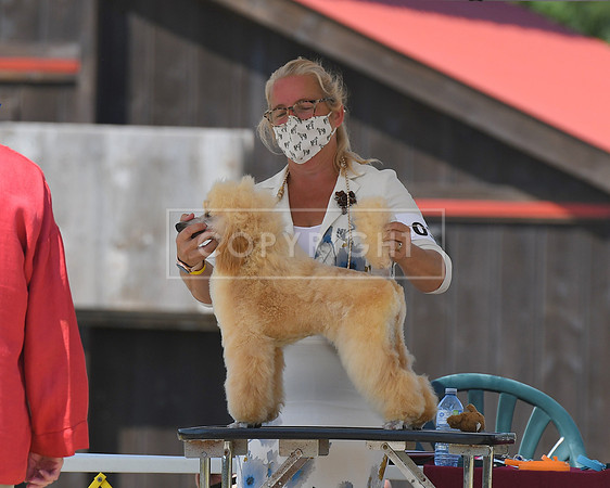 DSC_6874