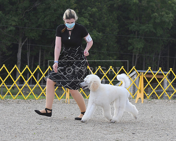DSC_8605
