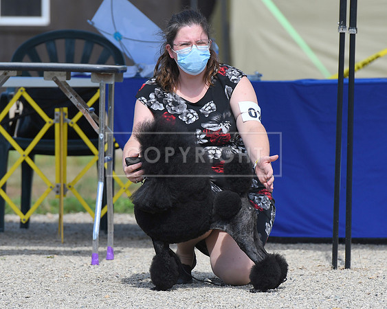 DSC_6185