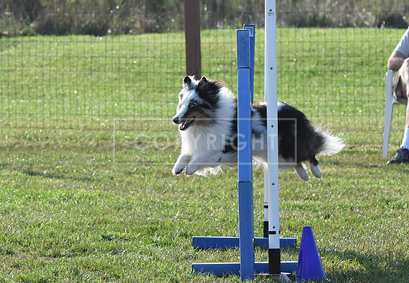 DSC_0733