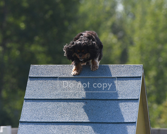 DSC_7691