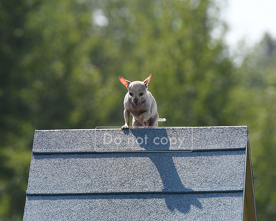 DSC_7789