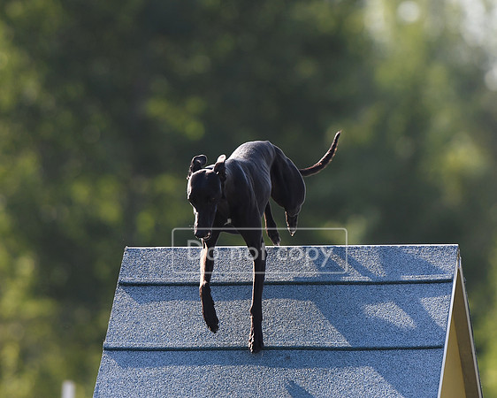 DSC_6589