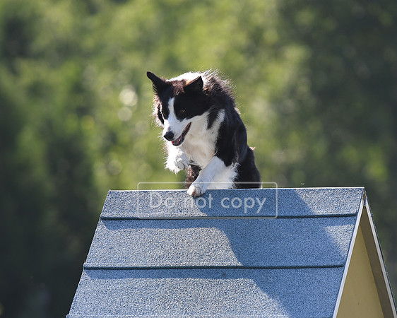 DSC_6829