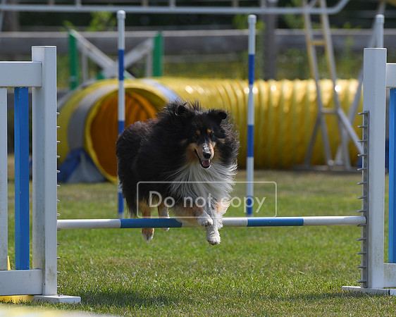 DSC_8402