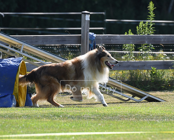 DSC_7319