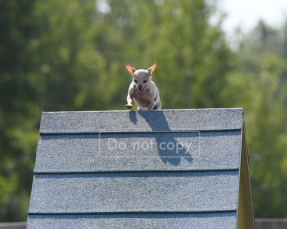 DSC_7788