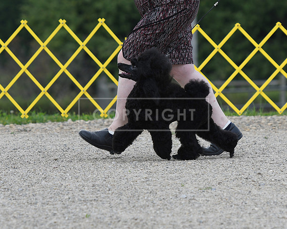 DSC_5319