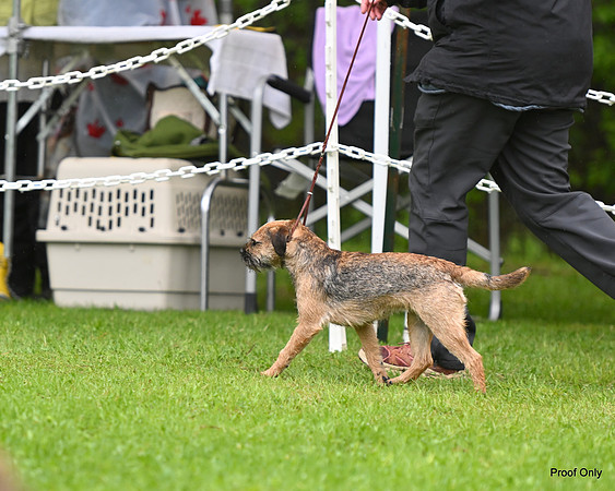DSC_0330