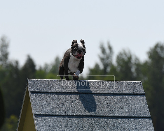 DSC_8506