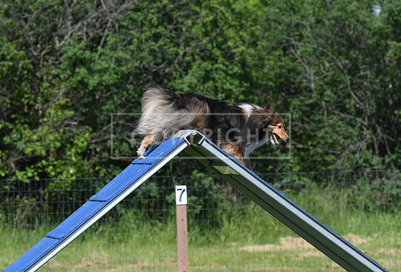 DSC_3153