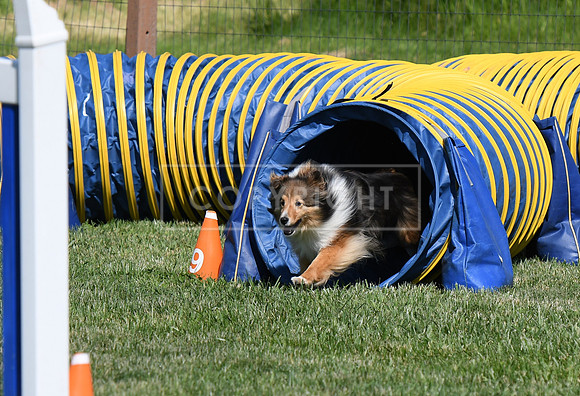 DSC_3190