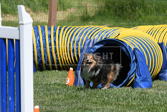 DSC_3191