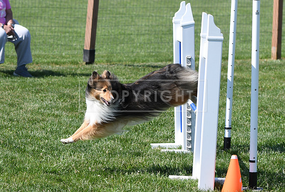 DSC_3204
