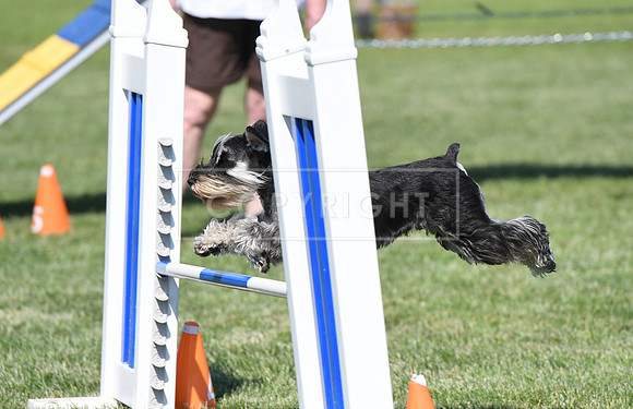 DSC_3276