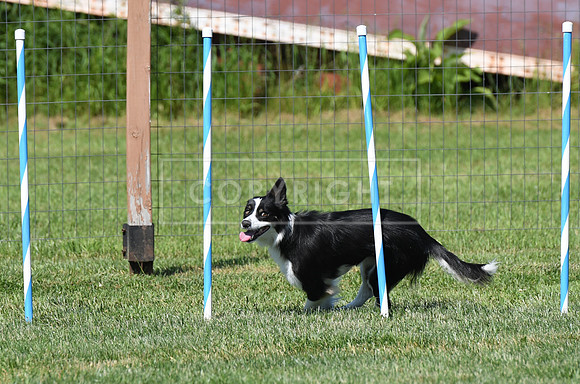 DSC_3571
