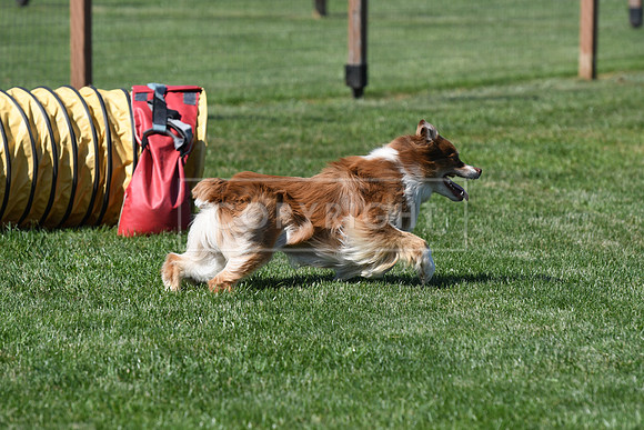 DSC_3643