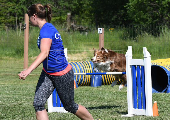 DSC_3851
