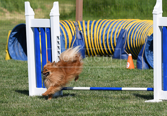 DSC_3993
