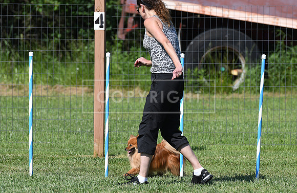 DSC_4020