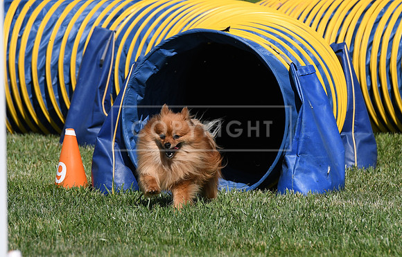 DSC_4034