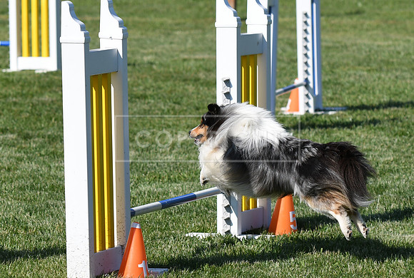 DSC_4206
