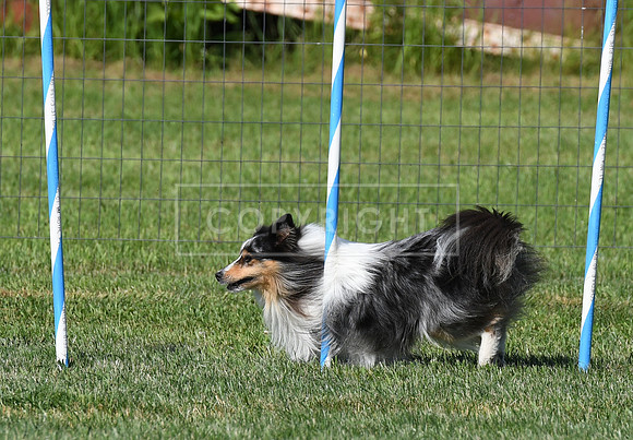 DSC_4213