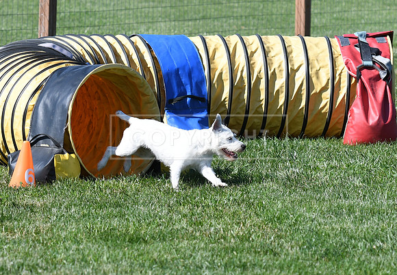 DSC_4273