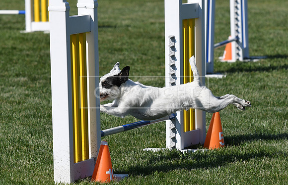 DSC_4292