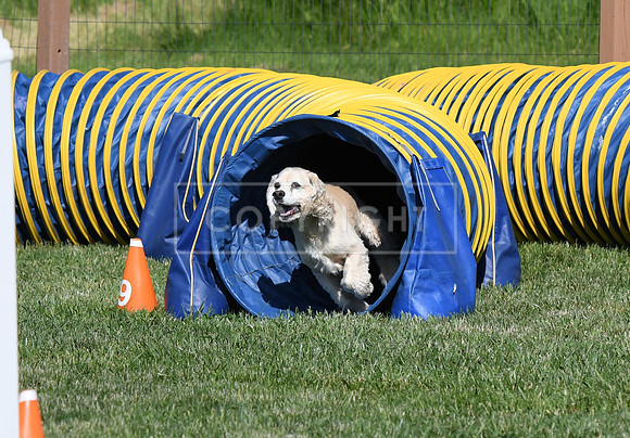 DSC_4475