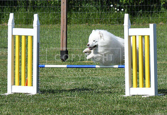 DSC_4628