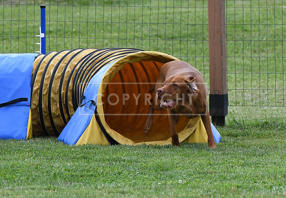 DSC_4957