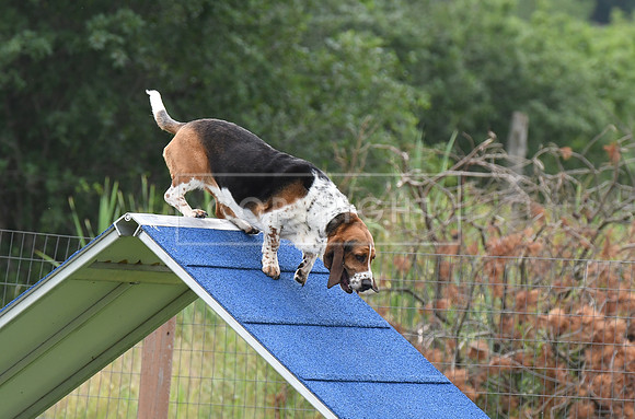 DSC_5011