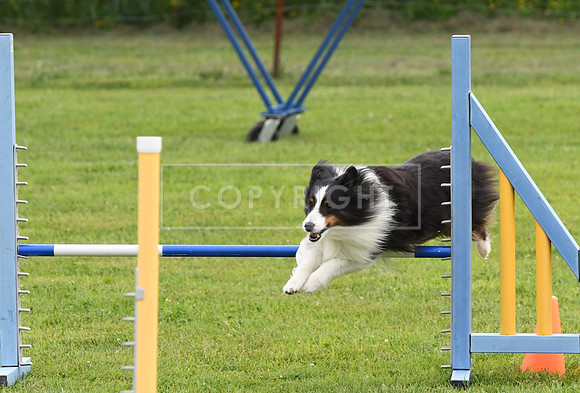 DSC_5241
