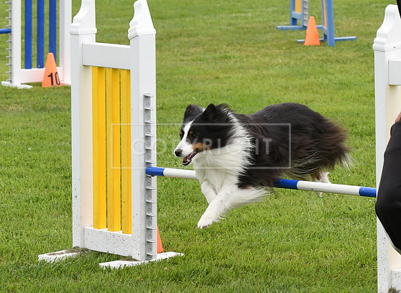 DSC_5247