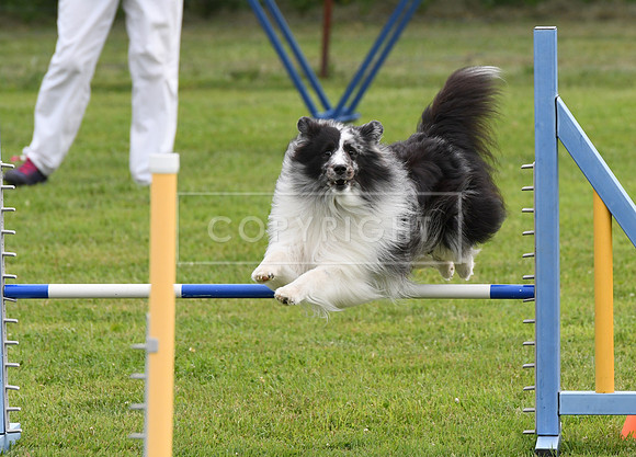 DSC_5571