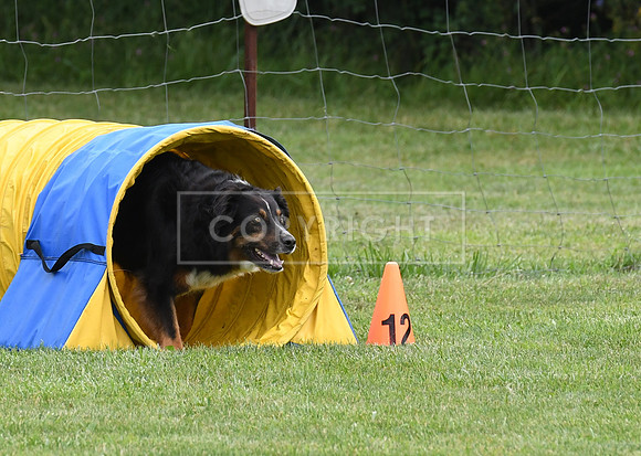 DSC_5607