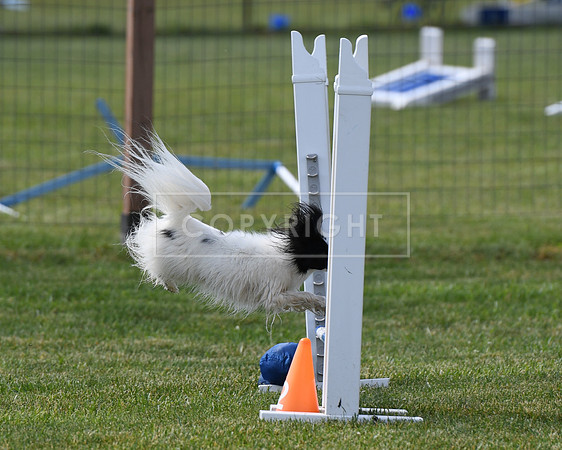 DSC_4274