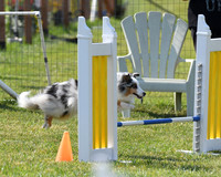 DSC_4343