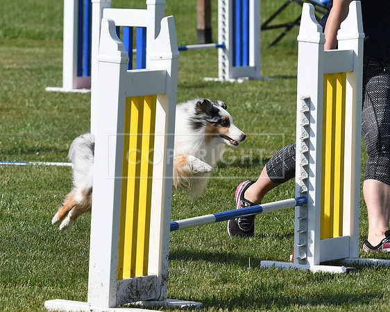 DSC_4358
