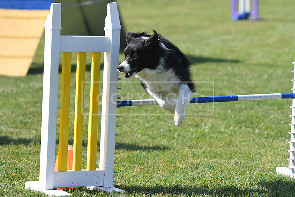 DSC_4707