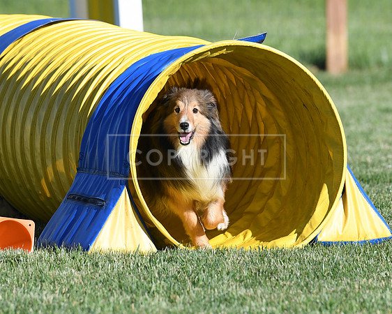 DSC_5729