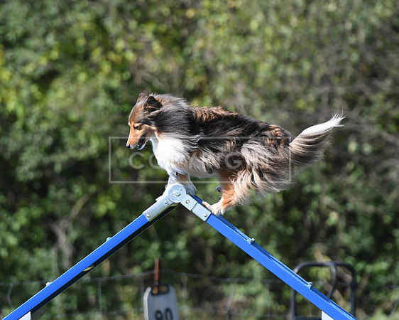 DSC_2490