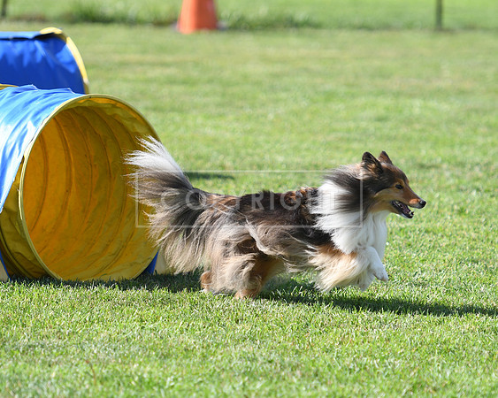 DSC_2502