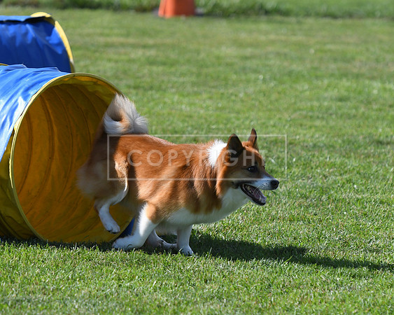 DSC_2600