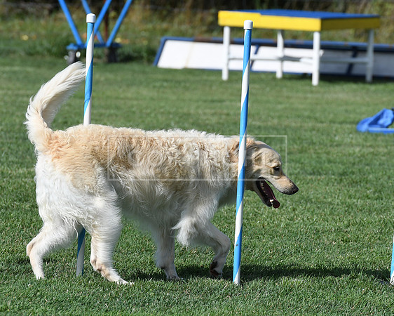 DSC_2868