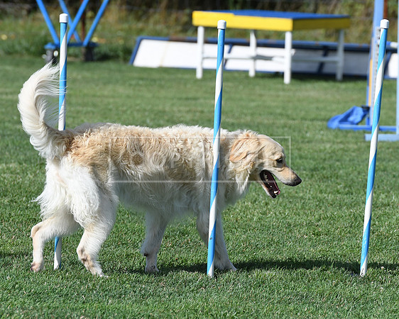 DSC_2869