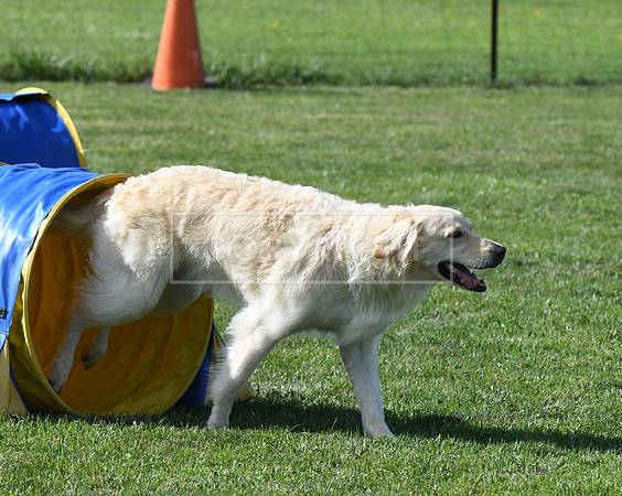 DSC_2883