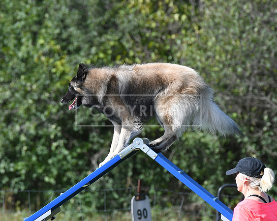 DSC_2946