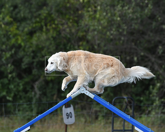 DSC_3196